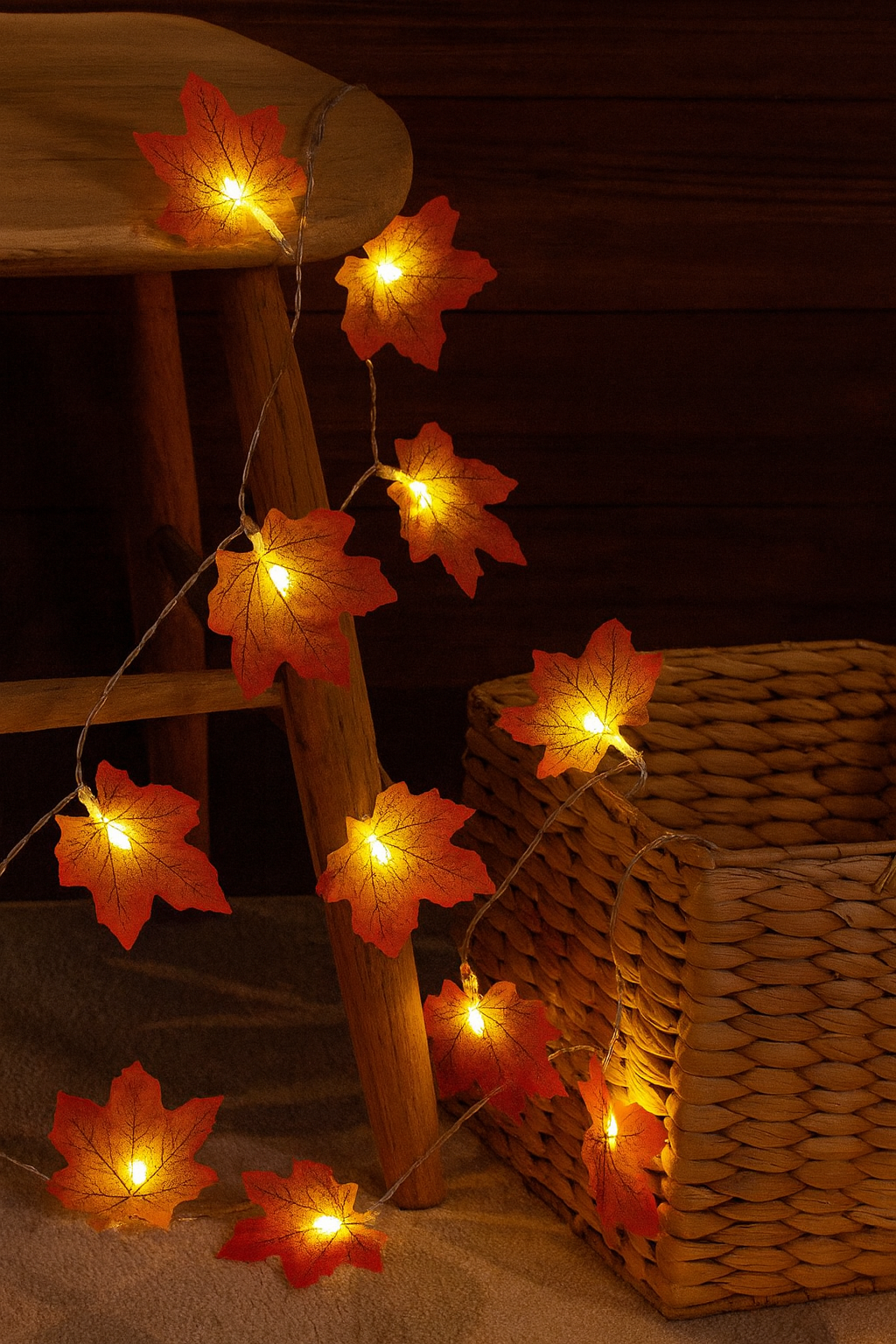 Herfstslinger | 10 of 20 LED lichtjes
