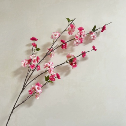 Livideco Zijden Bloesem kunsttak in wit of roze in hoge vaas