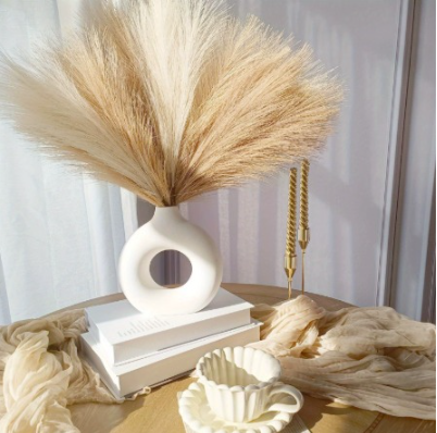 Set van 2 boho vaas veren in geel, bruin en beige voor interieurdecoratie