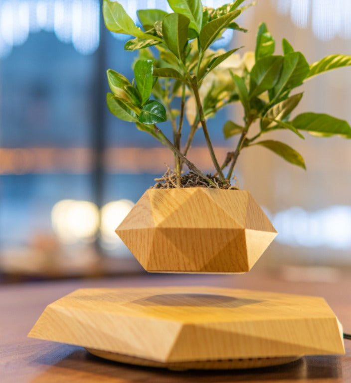 Livideco Zwevende Vaas