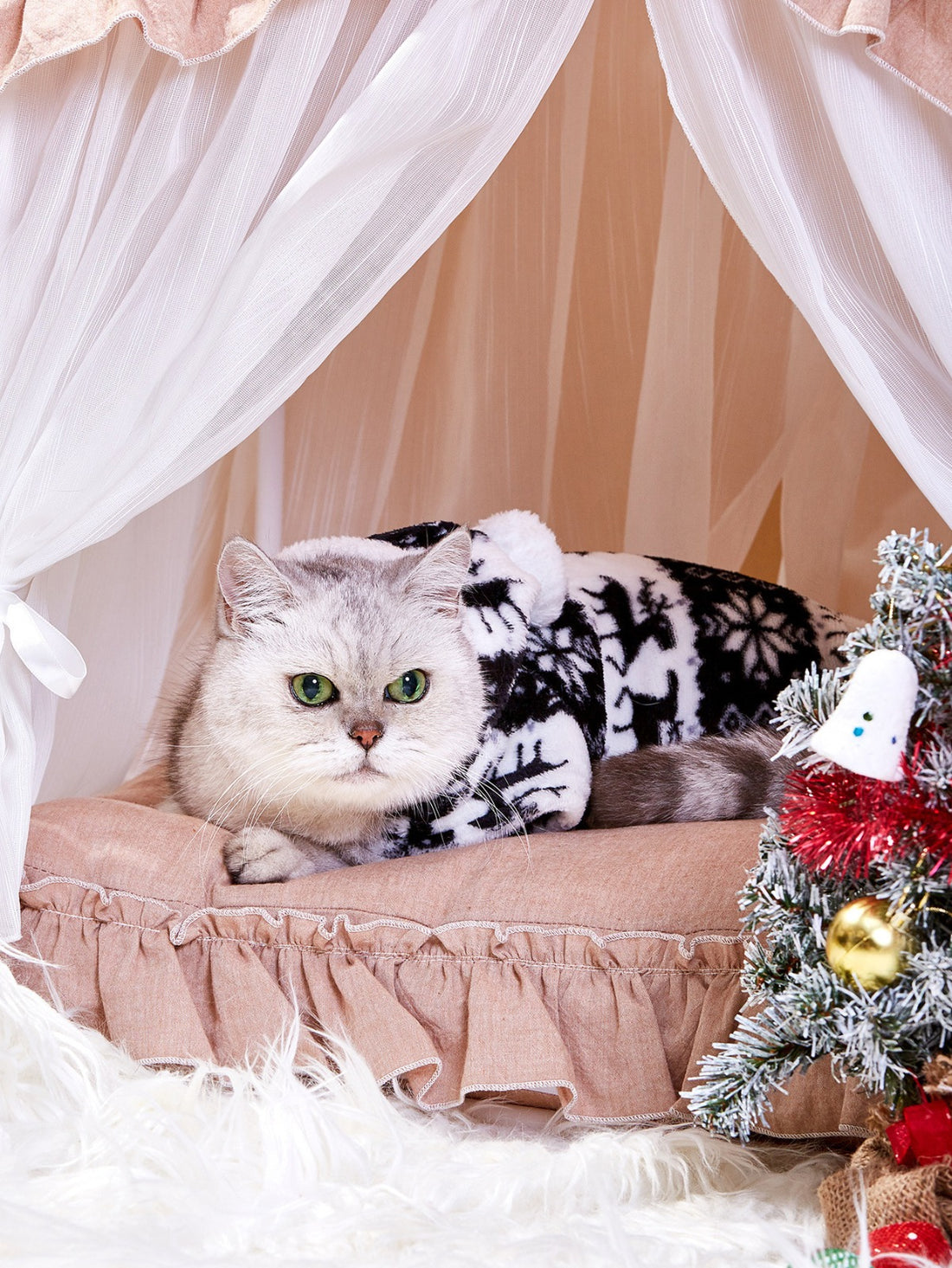 Feestelijk kerstpakje | Kat of Hond